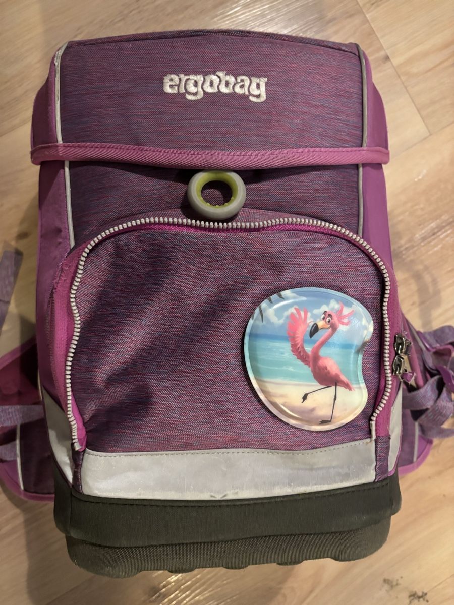 Ergobag Borse & Zaini: Ergobag Schulrucksack – Usato da Lützelflüh-Goldb venduto da boe_ql9s 2