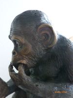 Grosse, prächtige Bronze Skulptur: Anatomy Human/Darwin.