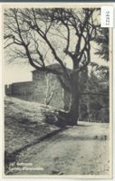 Bellinzona - Castello d'Unterwalden