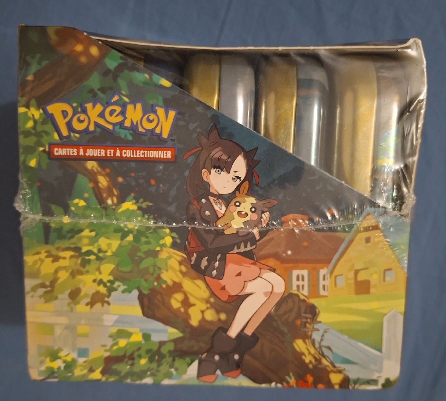 FR Display Mini Tins Pokémon Zénith Suprême – 20 Boosters (Neu (gemäss ...