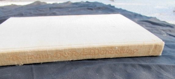 Libri: Buch: Hermann Hesse, Wanderung, mit farbigen Bildern, 1927 – Usato da Wolfisberg venduto da Mirjam13 4