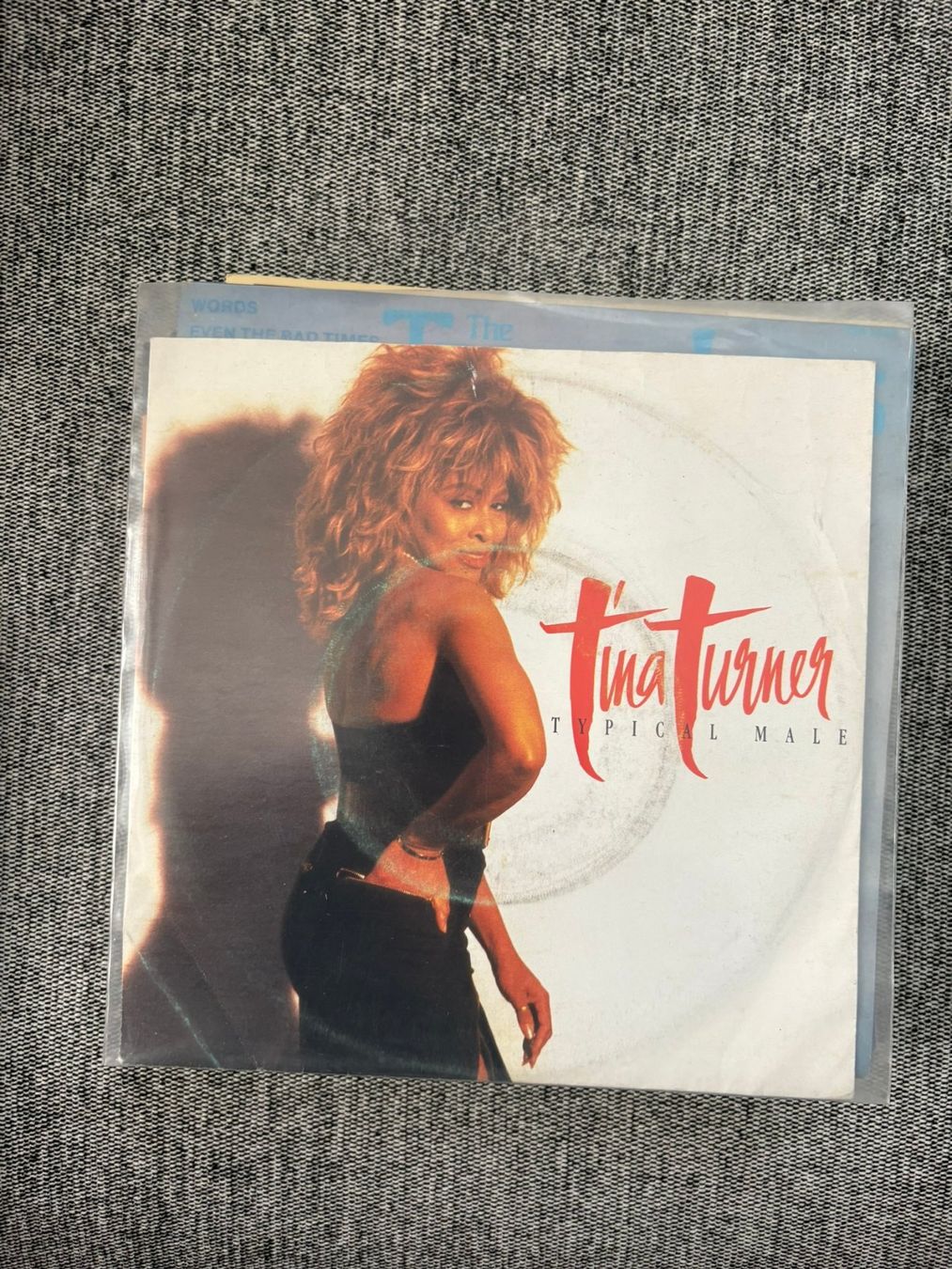 Schallplatten: Tina Turner - Typical Male – Gebraucht aus Zofingen von Bigron