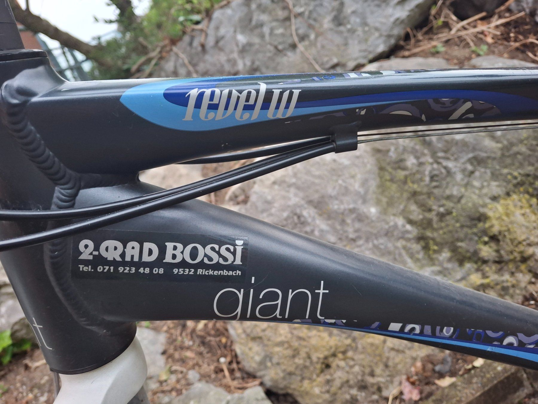Biciclette: Fahrrad - Giant revel 2 – Usato da Rickenbach b. Wil venduto da jul_2vsk 2