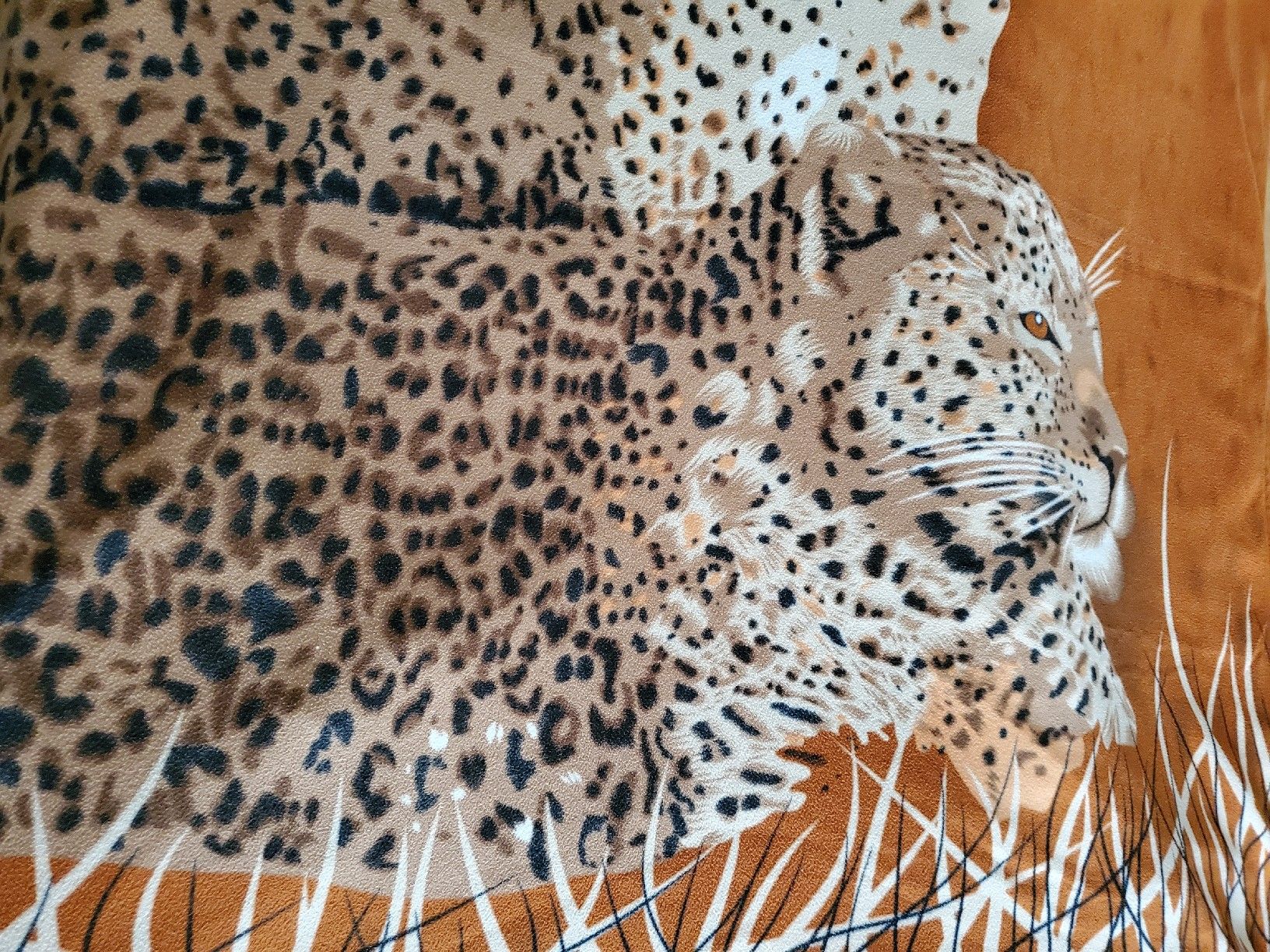 Coperte: Kuschelige Fleecedecke mit Leoparden 190x150 cm – Usato da Wetzikon ZH venduto da Wetzicardo25 4