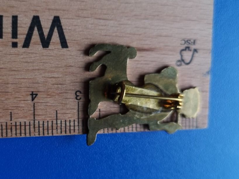 Placchette & Badge: Appenzell Pin brosche – Usato da Schaffhausen venduto da Leveron13 2