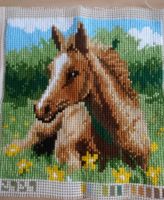 Zierkissen Fohlen + Kissenhülle Vervaco DIY Set