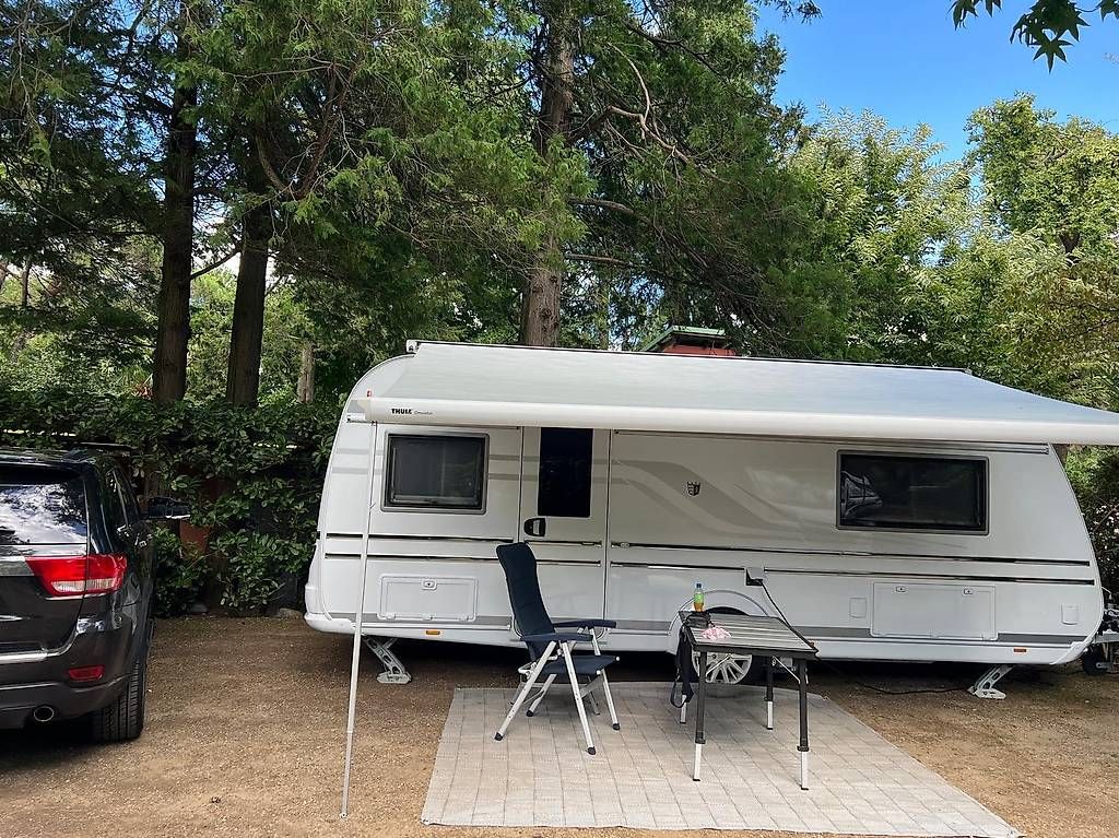 Camping Fahrzeuge: Tabbert Puccini – Gebraucht aus Kirchleerau von 1950kiwi 1