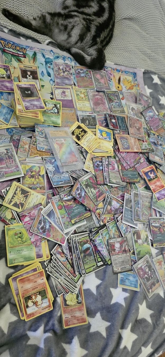 Pokémon Carte collezionabili: Pokemon Mystery Pack 10 hits – Nuovo (secondo la descrizione) da Gunzgen venduto da Stifflahking 2