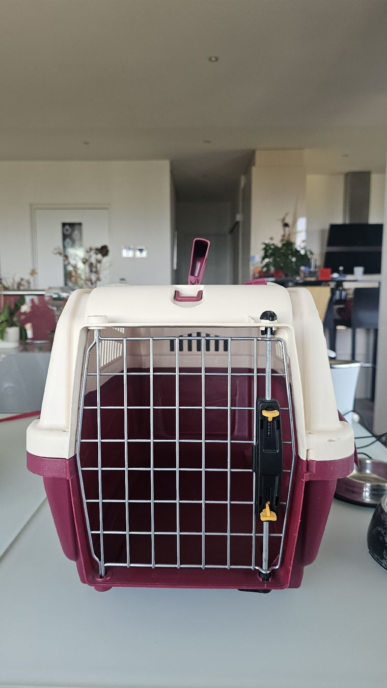 Käfige, Transport & Sicherheit: cage transport chat/animaux  – Gebraucht aus Nax von mojy 2