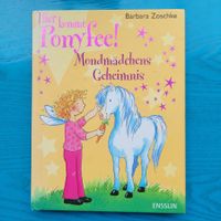Hier kommt Ponyfee! - Mondmädchens Geheimnis