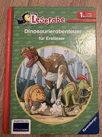Buch Leserabe Dinosaurierabenteuer