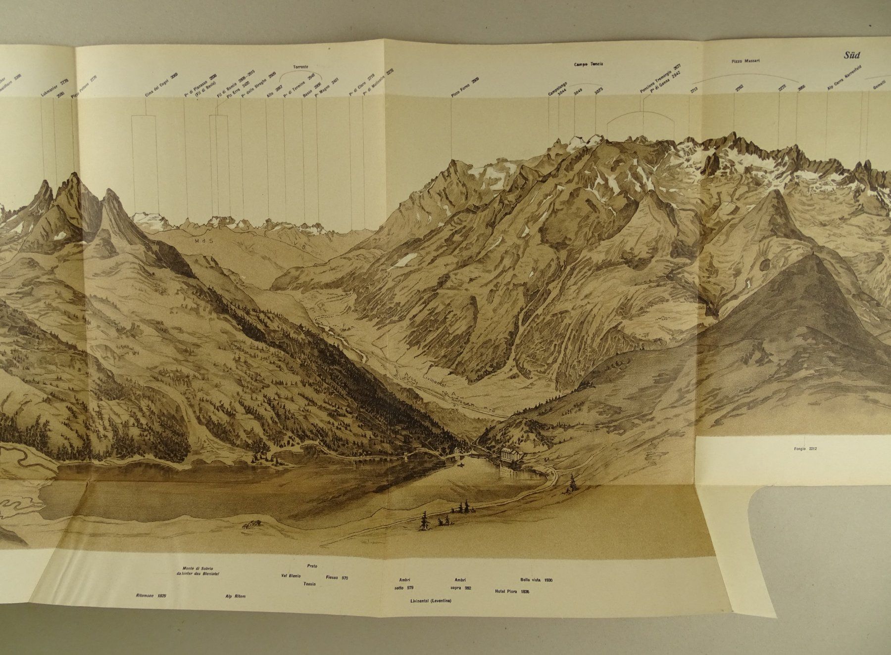 Incisioni: PANORAMA VOM CAMOGHE, LITHOGRAPHIE 1905 – Usato da Grüningen venduto da Kartensammler 1