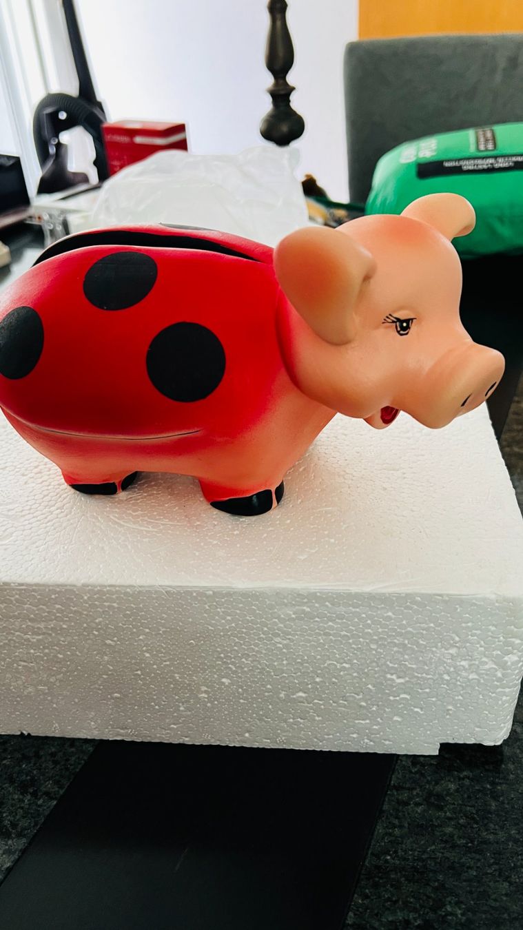 Spardosen: Sparschwein – Neu und originalverpackt aus Ehrendingen von Moeoesli