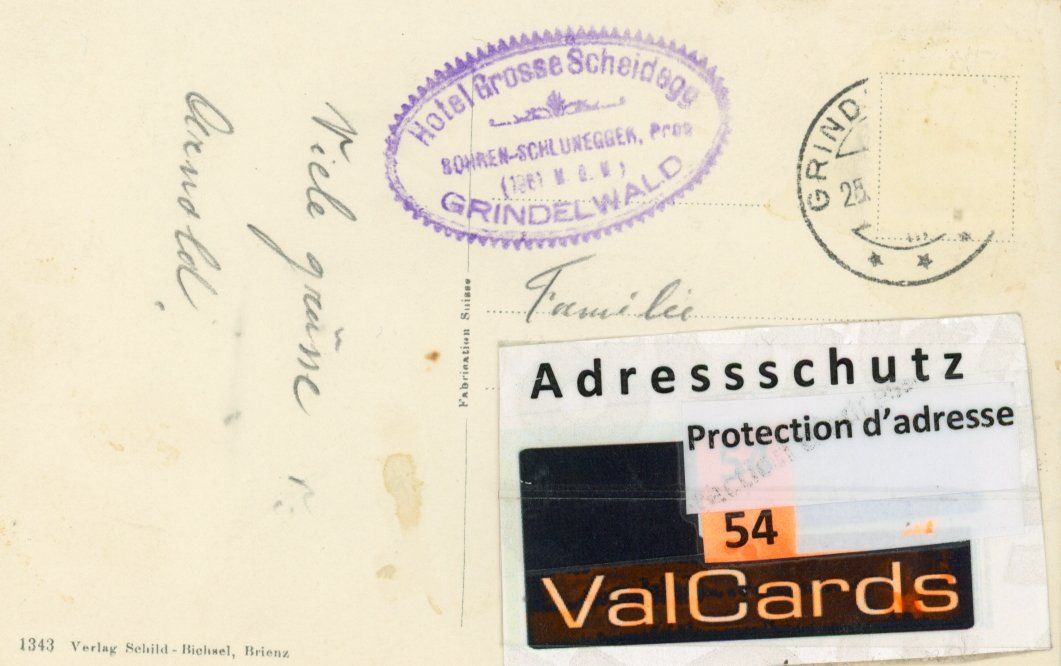 Cartoline postali: Grosse Scheidegg   BE  und Wellhorn – Usato da Brig venduto da Valcards54 1