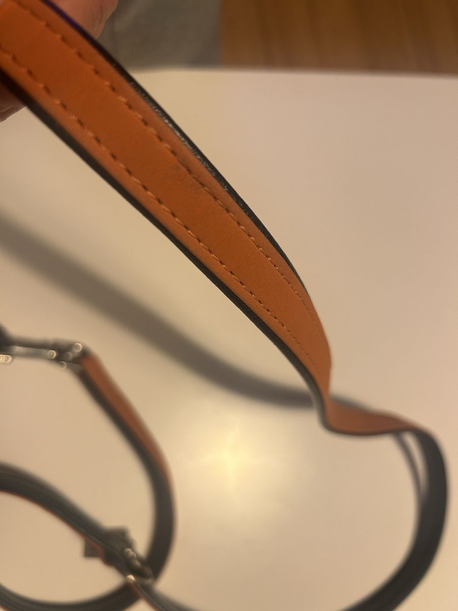 Guinzagli & Collari: Laisse/collier pour chien HUNTER cuir  – Nuovo (secondo la descrizione) da St-Prex venduto da mar_f6t6 5