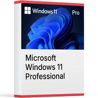 Windows 11 Professional +