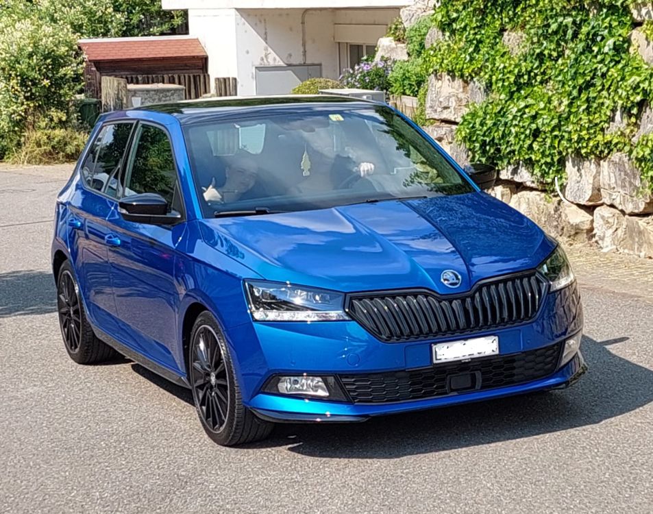 Erstaunlich Skoda Fabia 2021 Bildnull