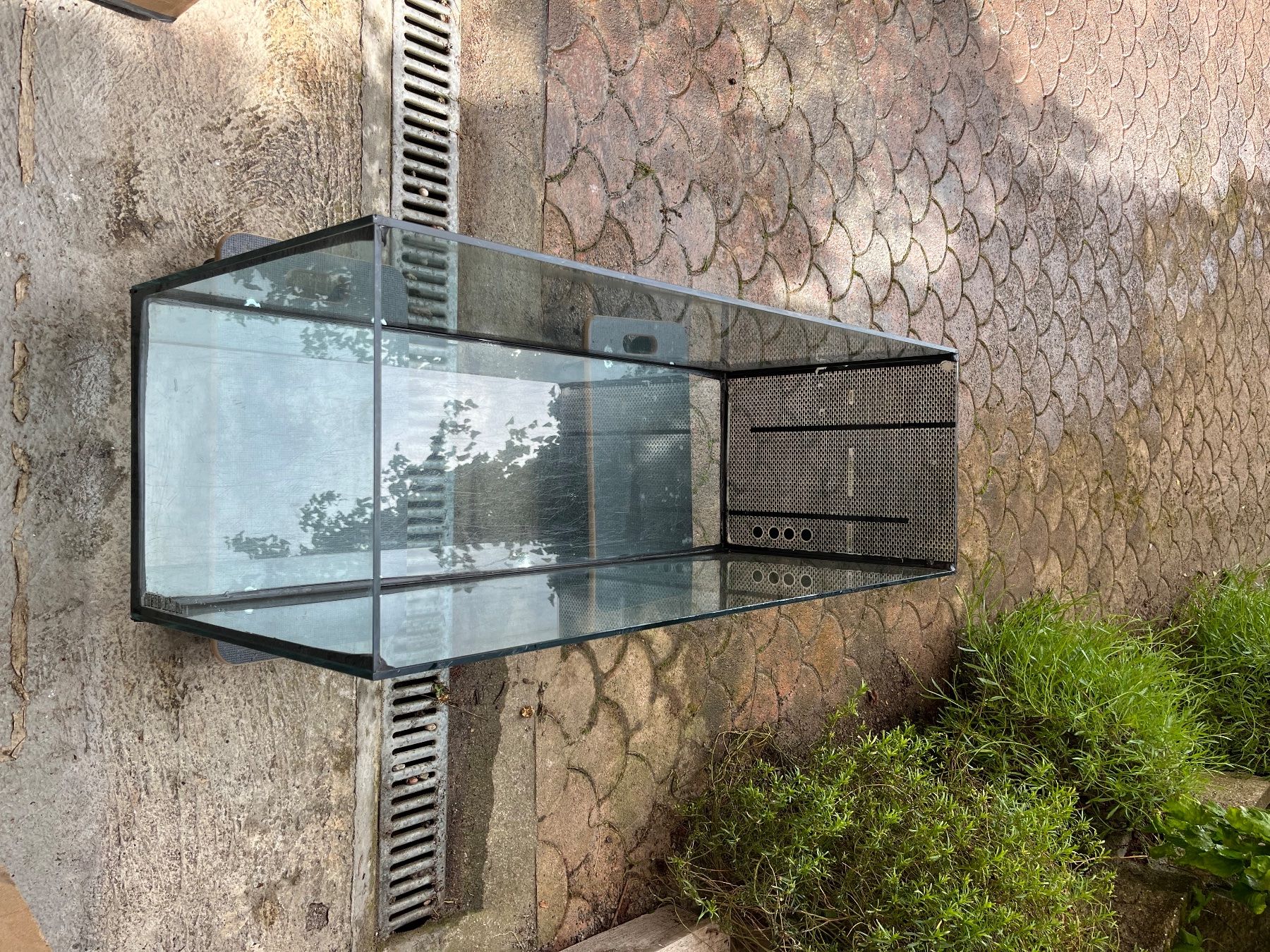 Acquari: Aquarium/ Terrarium – Usato da commugny venduto da Faye03 1