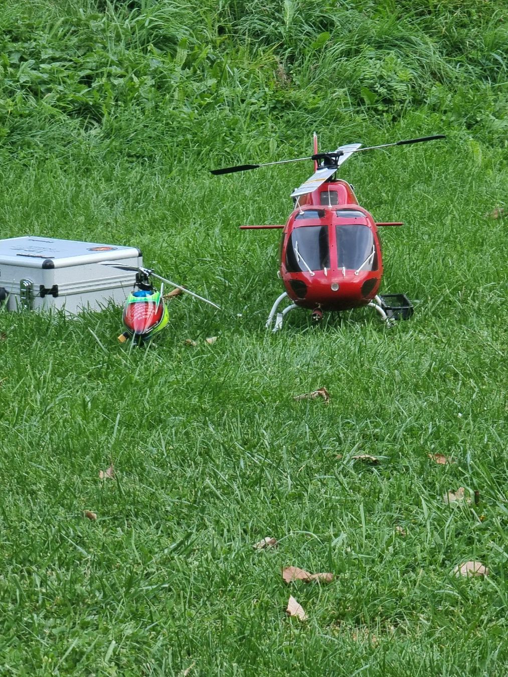 Modellismo RC: Écureil RC Raptor E550 – Usato da Martigny venduto da SteveHC1920 5