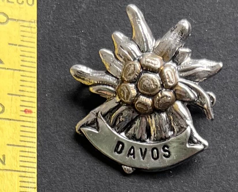 Edelweiss Placchette & Badge: Davos Edelweiss Anstecker , Vintage – Usato da Ostermundigen venduto da DaxKarten-75