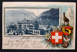 Prägekarte Meiringen Hotel du Sauvage 1902