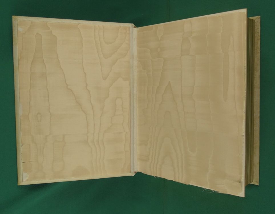 CODEX MANESSE, FAKSIMILE INSEL VERLAG 19251927 Kaufen auf Ricardo