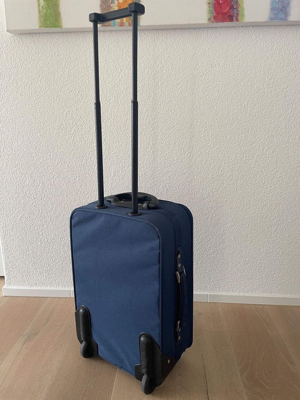 Valigie: Reisekoffer Boardcase – Usato da Altendorf venduto da Esmaan 1