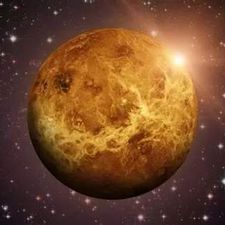 Profile image of Venus_99