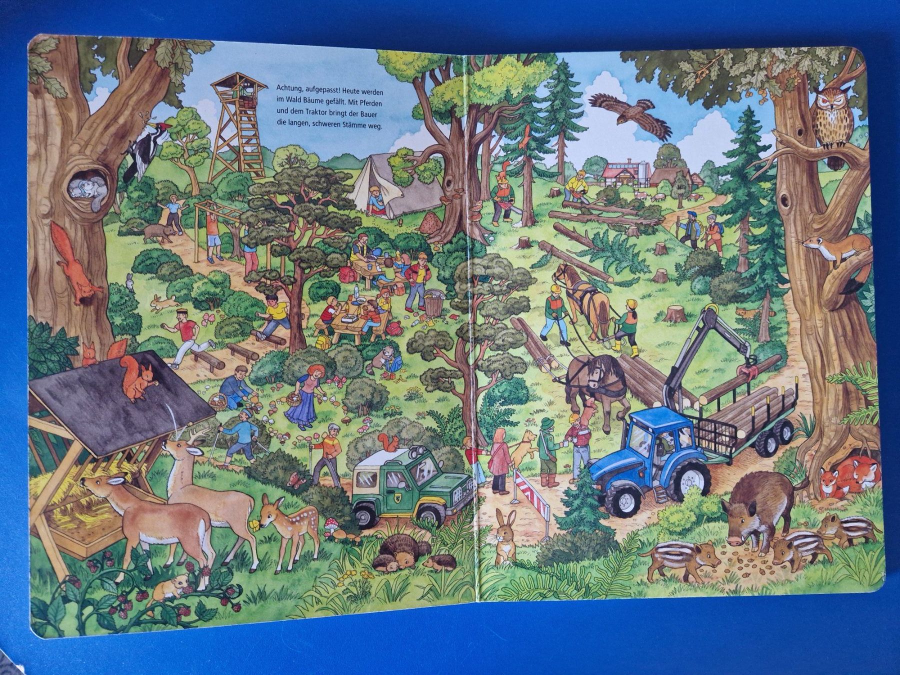 Bücher: Bauernhof Wimmelbuch – Gebraucht aus Münchenbuchsee von Aare22 3