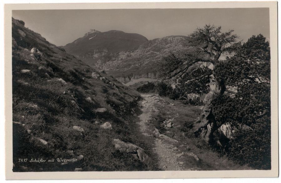 Cartoline postali: Schäfler mit Wegpartie, datiert 1929, gestempelt – Usato da Frauenfeld venduto da POML