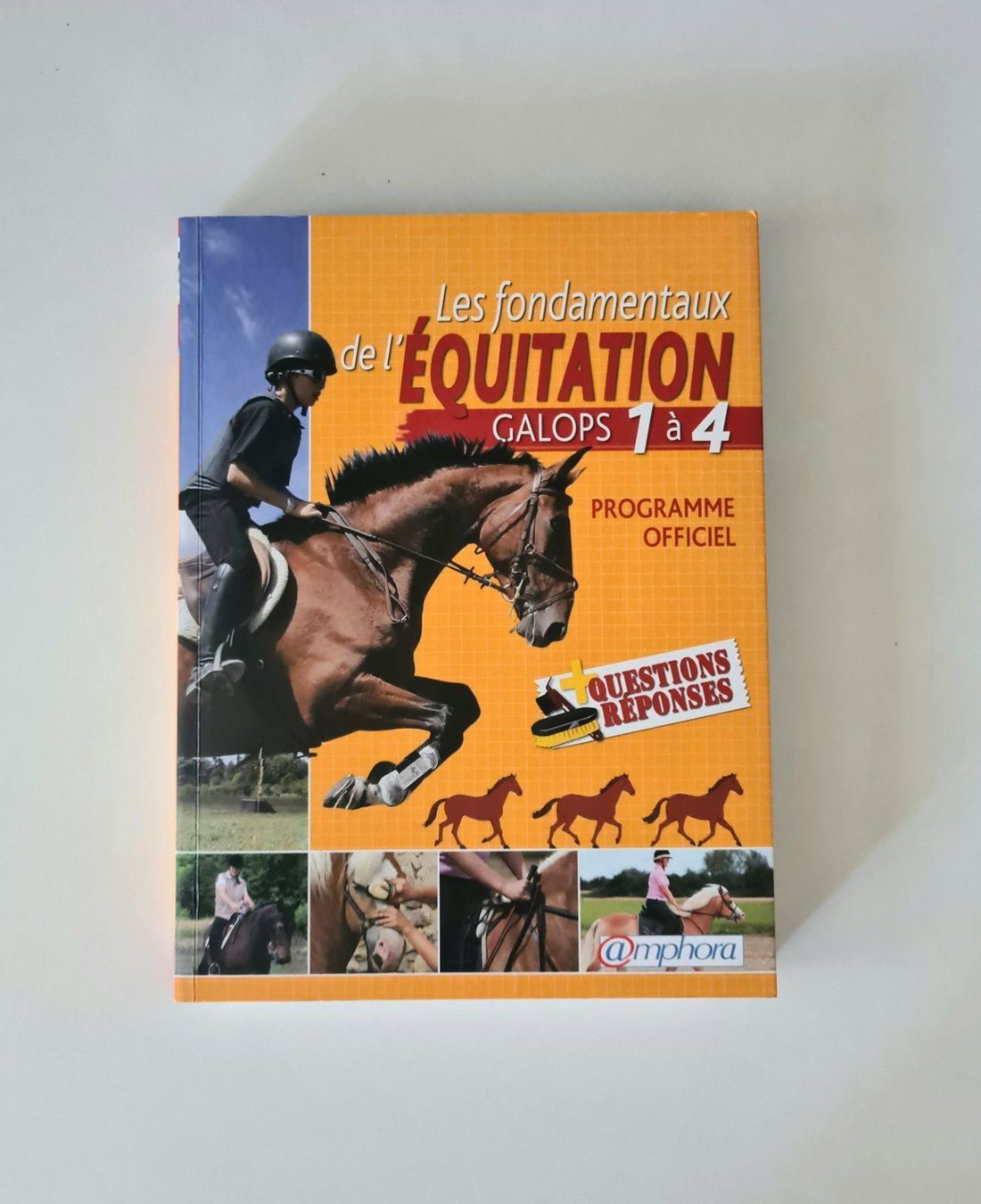 Libri: Equitation Galop 1 a 4, livre – Usato da Thônex venduto da AneleManele