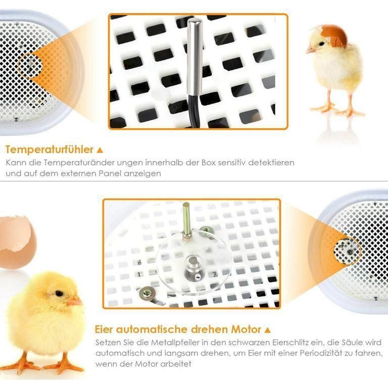 Altro in Accessori per animali: Inkubator Brutmaschine 9-12 Eier – Nuovo e nell'imballaggio originale da Bottighofen venduto da zaap 1