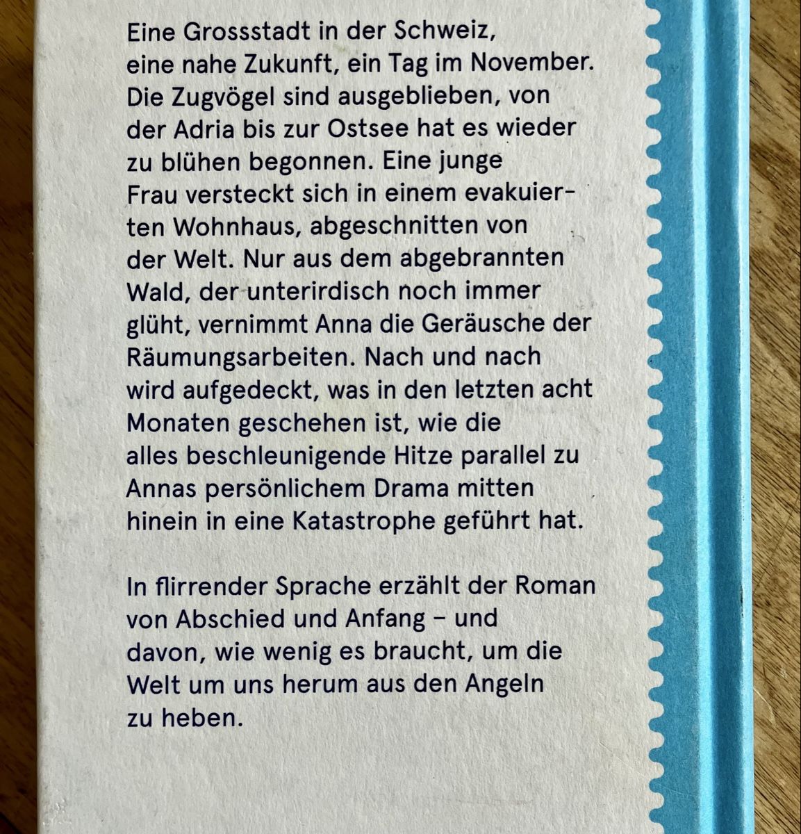 Libri: Regenschatten, Seraina Kobler – Usato da Buchs AG venduto da Allerleis 3