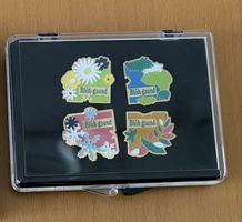 Bliib Gsund Pins 