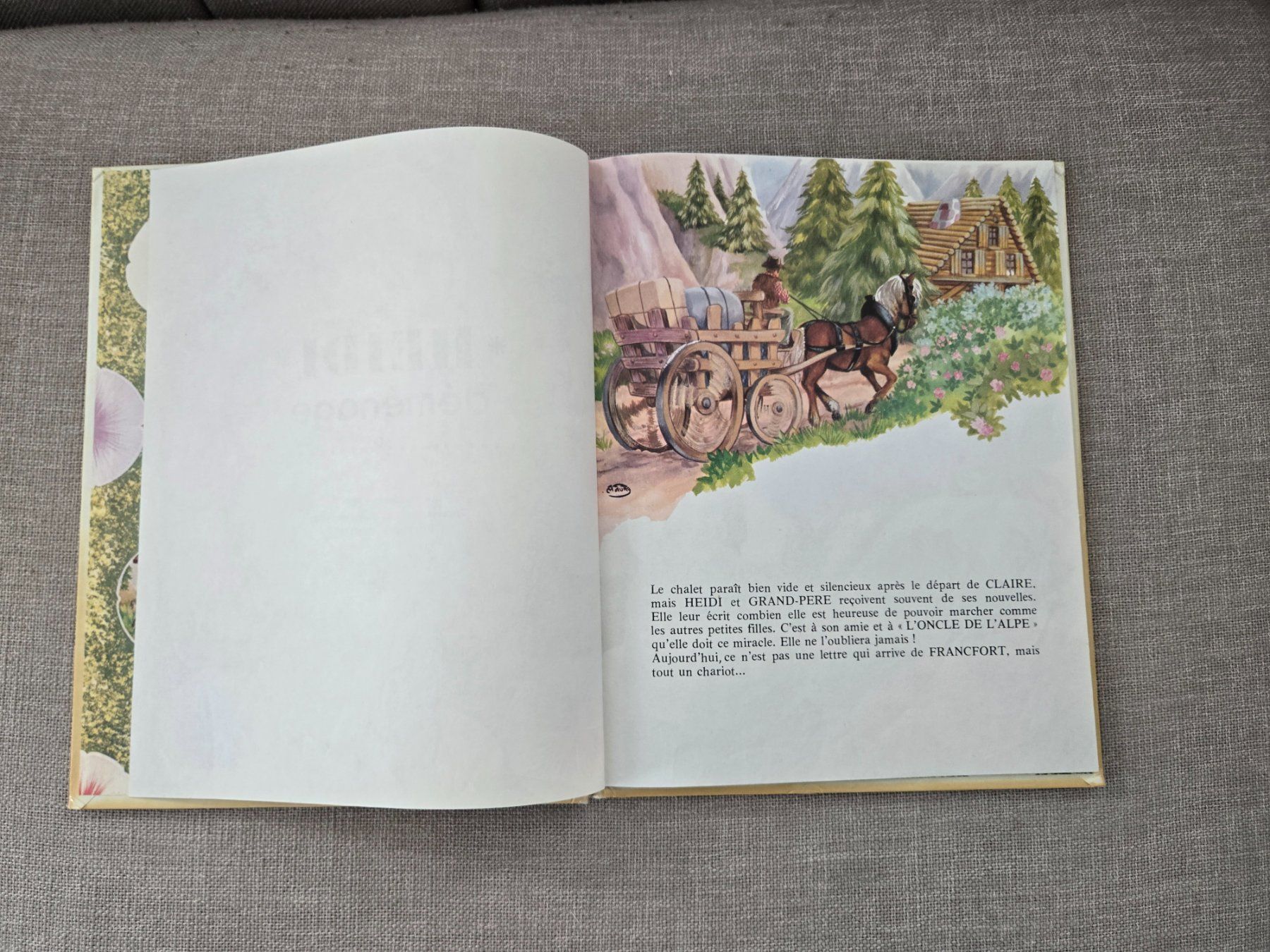 Livres: Heidi déménage – D'occasion à Crémines par Blakedrake 5