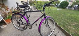 Tracer Kalkhoff 28 Zoll 55cm