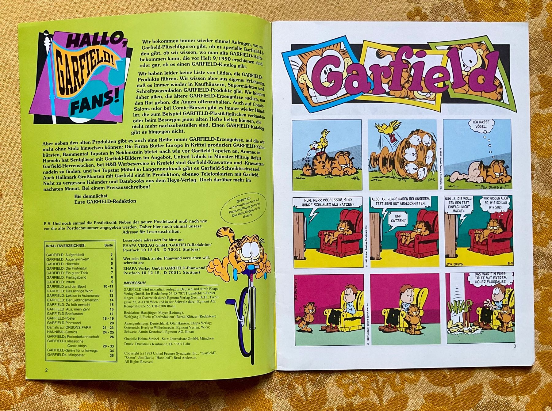 Comics: Garfield Heft Nr 8 von 1993 – Gebraucht aus Endingen von nathan05 1