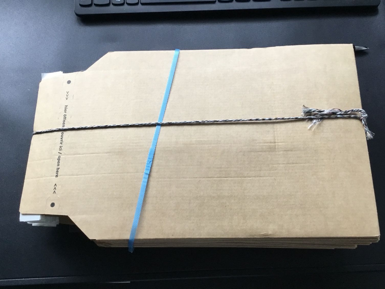 Buste & buste per spedizione: 100 Versandtasche  21x29 cm. – Nuovo e nell'imballaggio originale da St. Margrethen SG venduto da alfapeugeot10 4