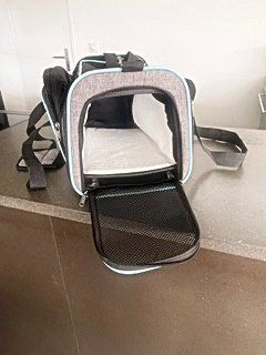 Niches, paniers: Katzentransportbox – Neuf (Voir description) à Wohlen AG par Prinzess1 4