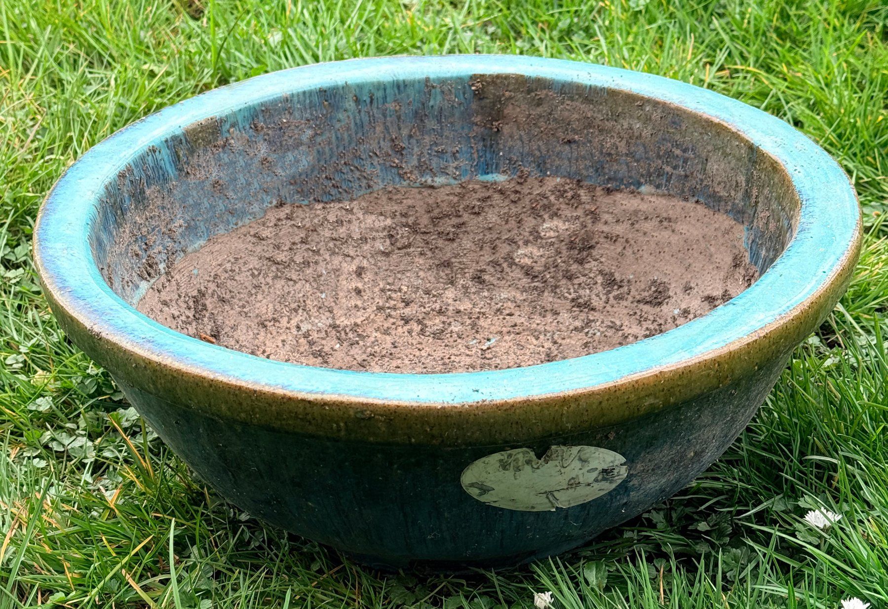 Blumentöpfe: Terracotta Topf Winterfest/Bonsaischale***** – Gebraucht aus Dübendorf von Orchid18