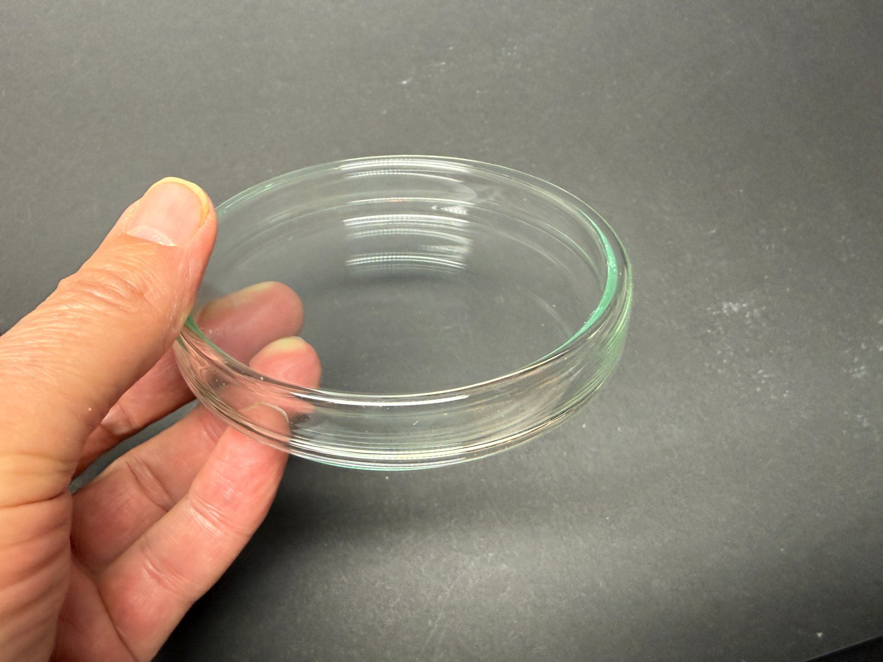 Bicchieri: Petrischale aus Glas, Durchmesser 10 cm, NEU – Usato da Lützelflüh-Goldb venduto da Elementis 1