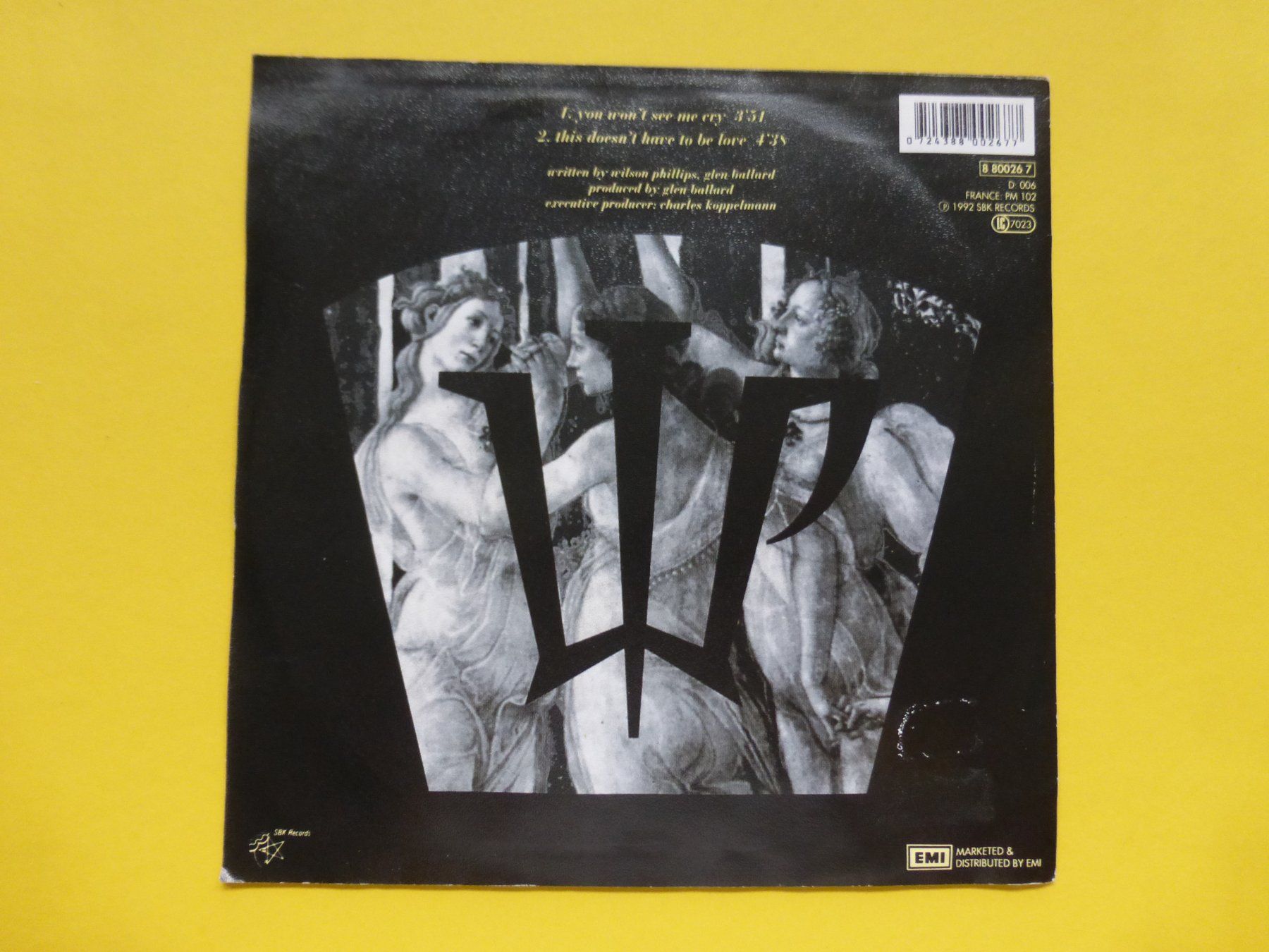 Dischi in vinile: Wilson Phillips – You Won't See Me Cry – Usato da Zürich venduto da Swiss57 1