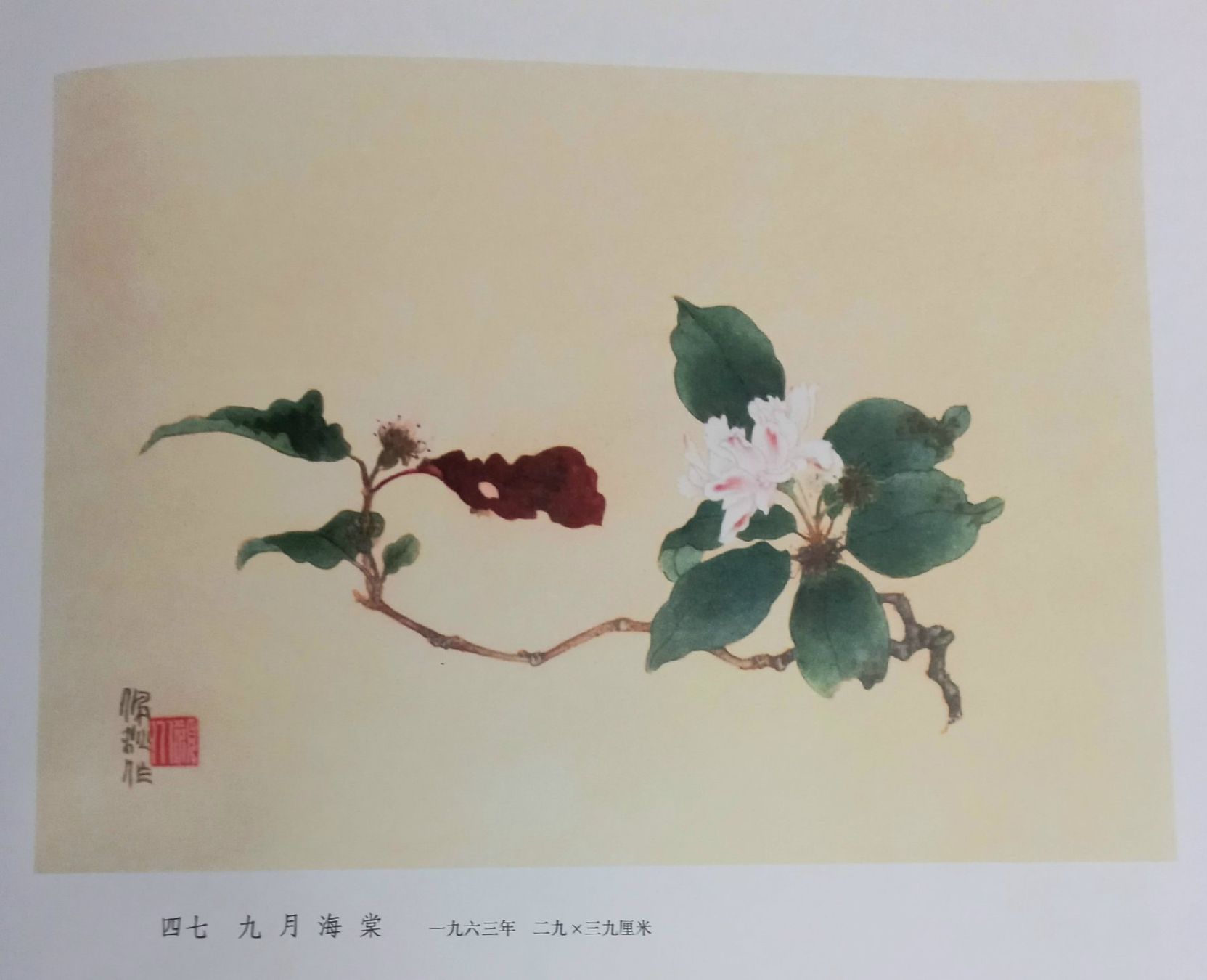 Livres: Chinesische Malerei – D'occasion à Niederuzwil par lubimaja 4