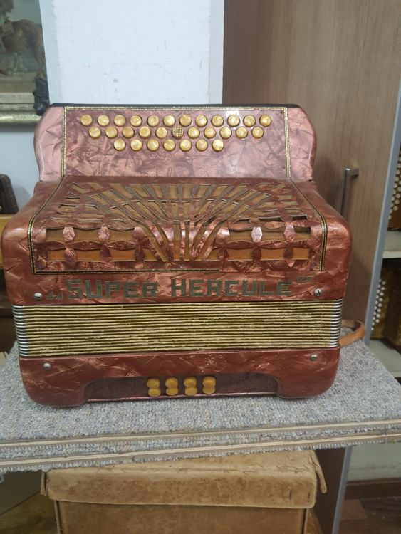 Accordéon (Gebraucht) in Pont-de-la-Morge für CHF 165 – nur Abholung ...
