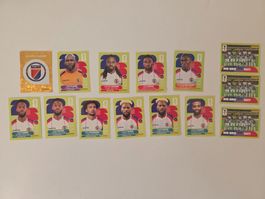 Sticker Panini WM 2026 Haiti 14 Stk