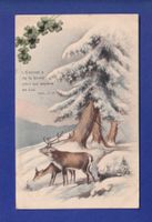 CERF et BICHE - Verset