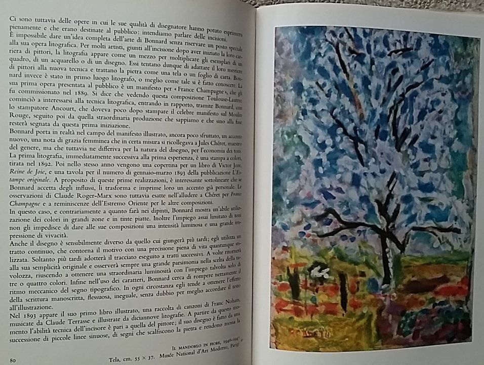 Libri: Raymond Cogniat: Bonnard, 1968 – Usato da Zollikerberg venduto da Dogon 8