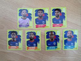 Panini WM 2026 verschiedene Bilder CPV
