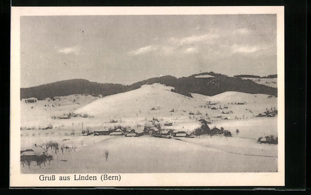 Cartoline postali: Linden /Bern, Ortsansicht aus der Vogels – Usato da Berlin venduto da bartko-reher