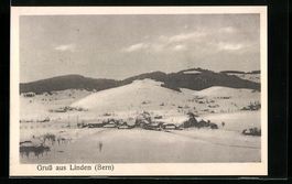 Linden /Bern, Ortsansicht aus der Vogels